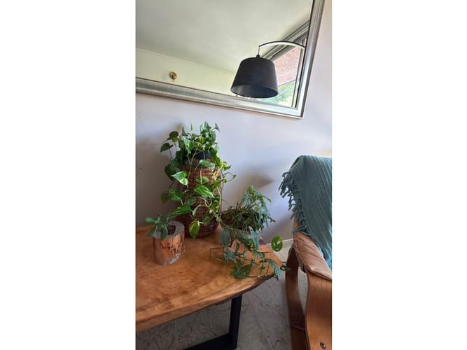 Apartamento en venta en Manila, Medellín · foto 3 de 18
