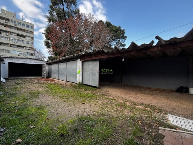 Oficina Sosa Prado - Grito de Gloria y Rivera Local industrial terreno y vivienda u oficinas 270mts2 edificados y 470mts2 de terreno. Único en la zona · Foto 4