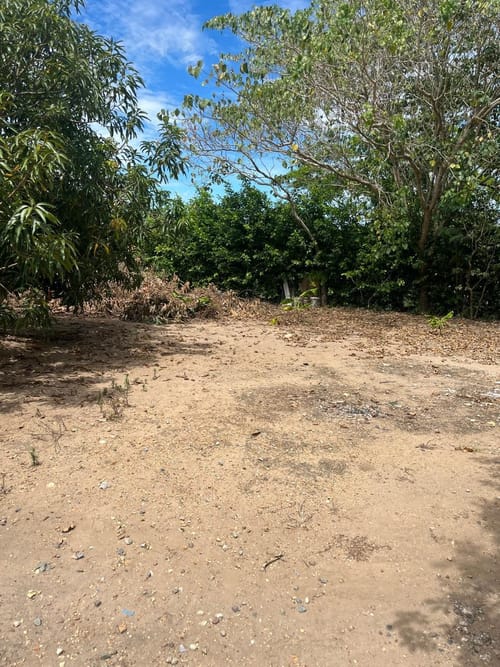 Casa de 3 alcobas en venta en Limoncitos, Ricaurte, 1530 m² · foto 23 de 24