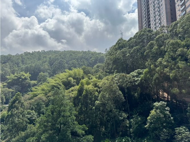 Apartamento de 1 alcoba en arriendo en El Poblado, Medellín, 55 m² · foto 8 de 11