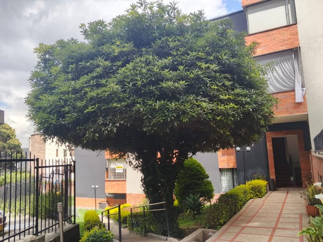 Apartamento de 3 alcobas en venta en Nueva Granada, Bogotá, 179 m² · foto 3 de 16