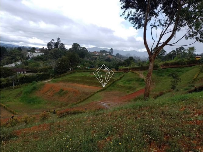 Lote en venta en El Carmen De Viboral, El Carmen de Viboral, 2700 m² · foto 9 de 12