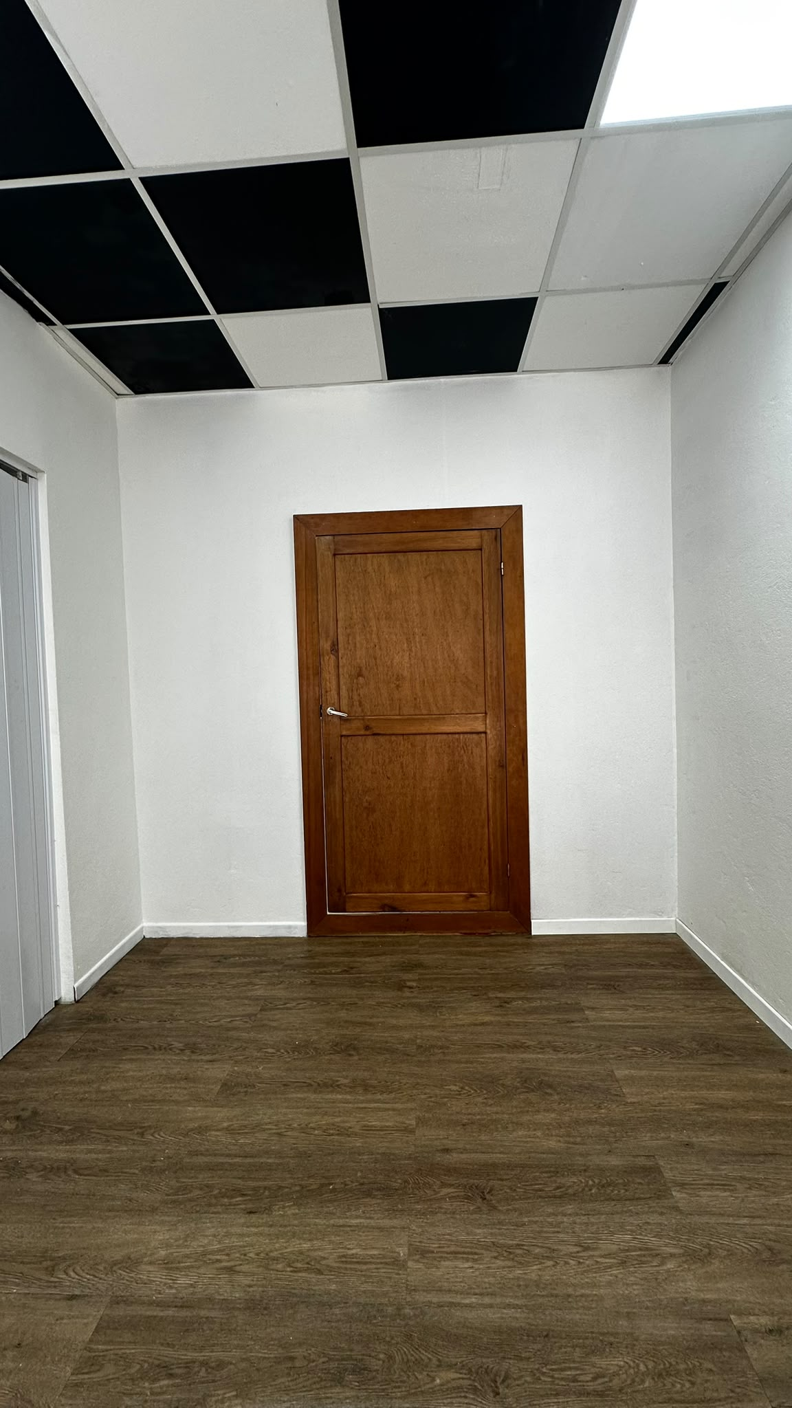 COD 1611 - Local Comercial en Plena avenida de Colonia · Foto 2