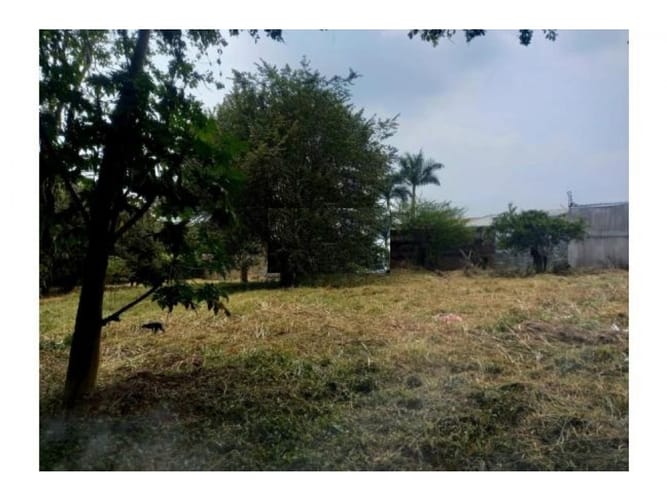 Lote en venta en Pance, Cali, 3028 m² · foto 2 de 5
