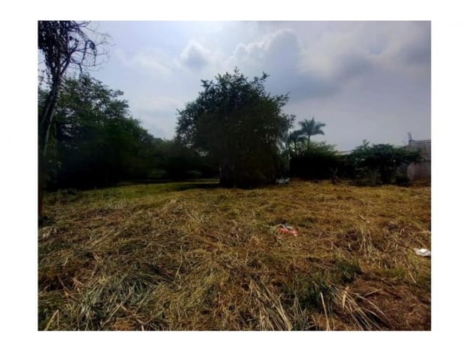 Lote en venta en Pance, Cali, 3028 m² · foto 3 de 5