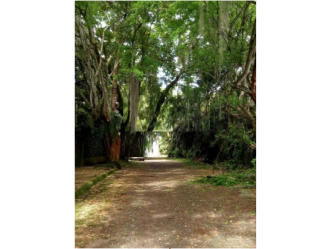 Lote en venta en Pance, Cali, 3028 m² · foto 4 de 5
