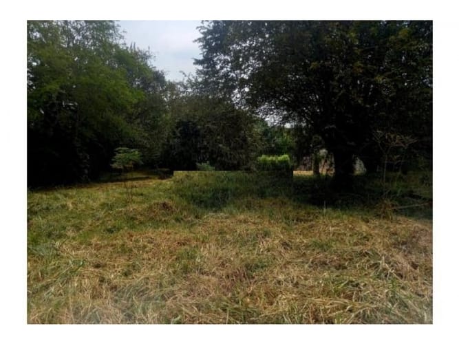 Lote en venta en Pance, Cali, 3028 m² · foto 5 de 5