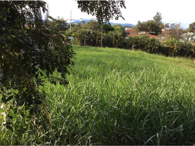 Lote en venta en La Rivera I, Cali, 1820 m² · foto 3 de 7