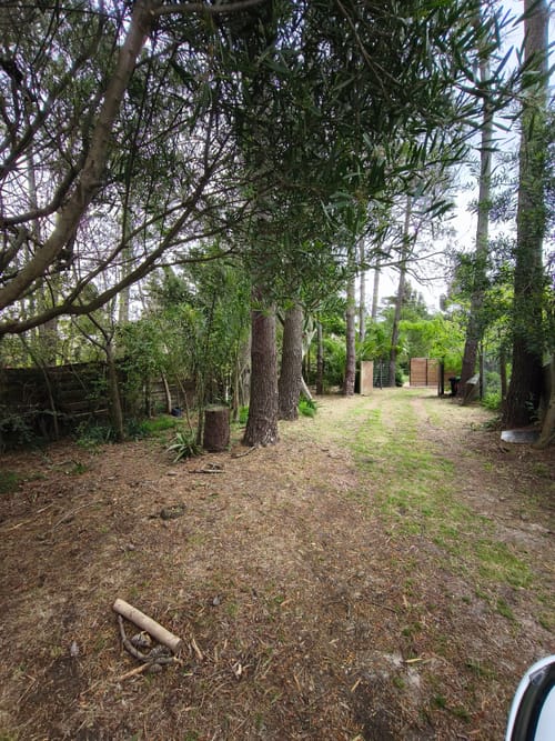 EXCELENTE A 3 DE PLAYA ZONA RESIDENCIAL AMPLIA CON JARDIN  PARRILLERO SUPER LUMINOSA · Foto 2