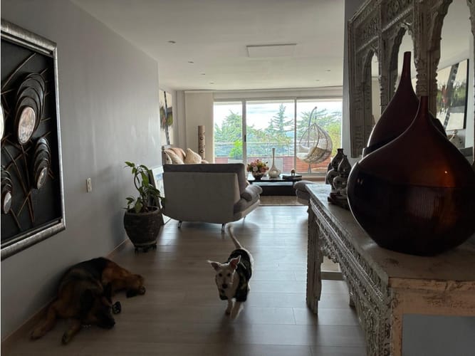 Apartamento de 3 alcobas en venta en Los Rosales, Bogotá, 211 m² · foto 2 de 24