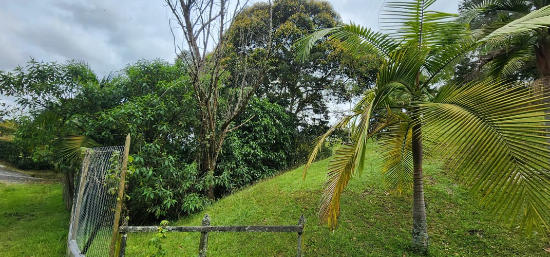 Lote en venta en Camargo, El Carmen de Viboral, 3350 m² · foto 3 de 24