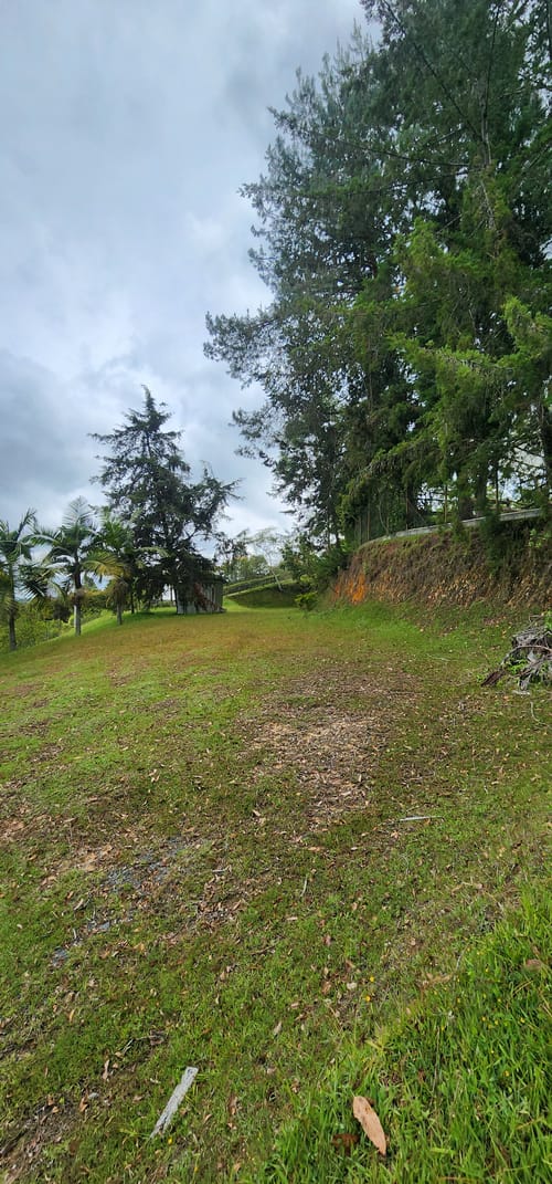 Lote en venta en Camargo, El Carmen de Viboral, 3350 m² · foto 5 de 24