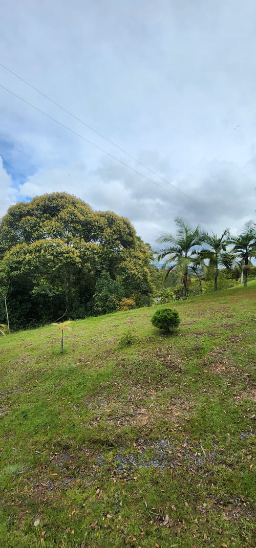 Lote en venta en Camargo, El Carmen de Viboral, 3350 m² · foto 6 de 24