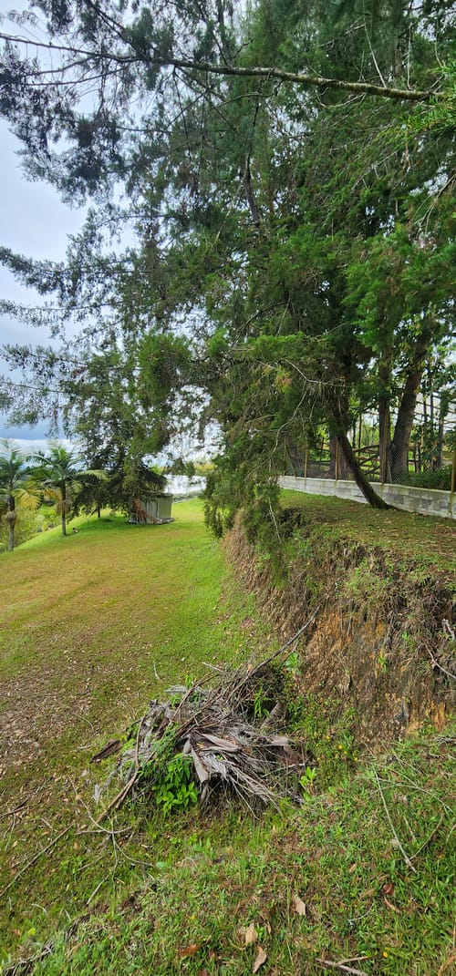Lote en venta en Camargo, El Carmen de Viboral, 3350 m² · foto 10 de 24