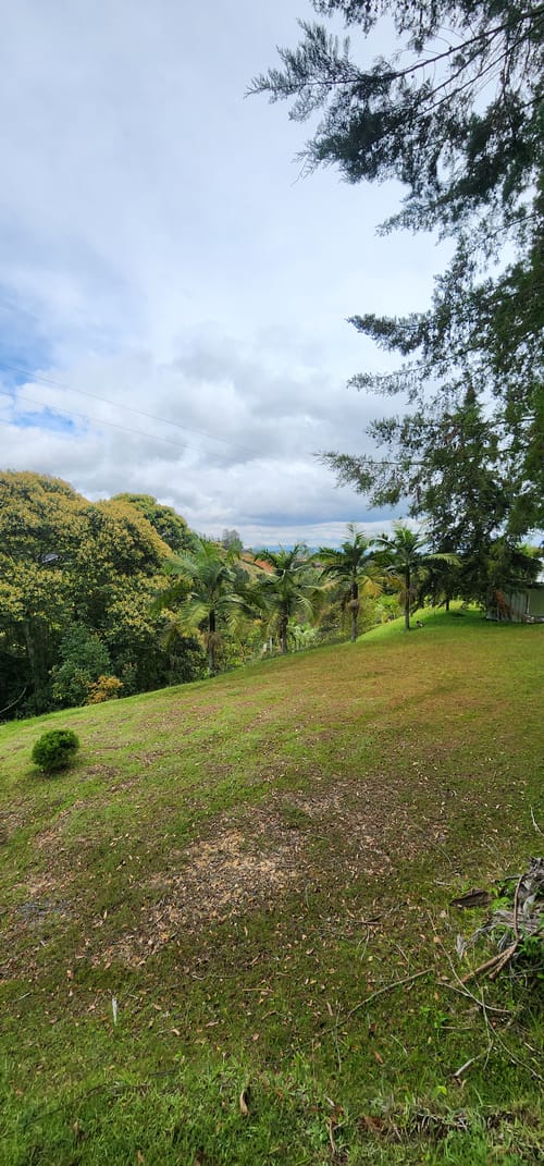 Lote en venta en Camargo, El Carmen de Viboral, 3350 m² · foto 11 de 24