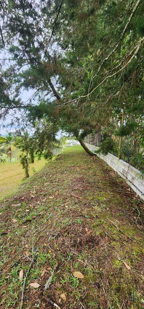 Lote en venta en Camargo, El Carmen de Viboral, 3350 m² · foto 14 de 24