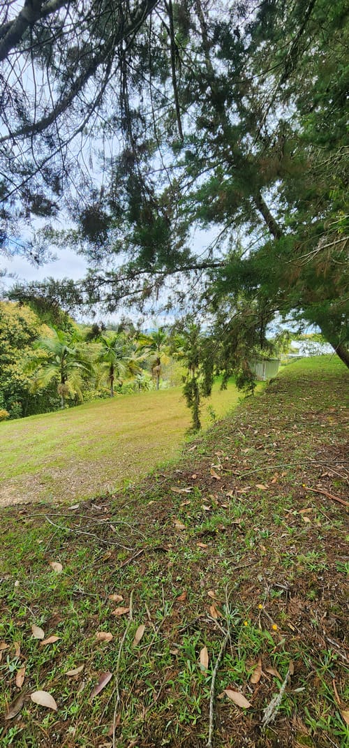 Lote en venta en Camargo, El Carmen de Viboral, 3350 m² · foto 15 de 24