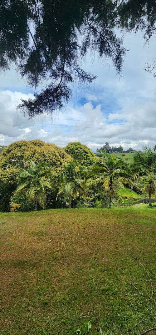 Lote en venta en Camargo, El Carmen de Viboral, 3350 m² · foto 18 de 24