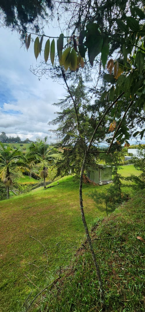 Lote en venta en Camargo, El Carmen de Viboral, 3350 m² · foto 19 de 24