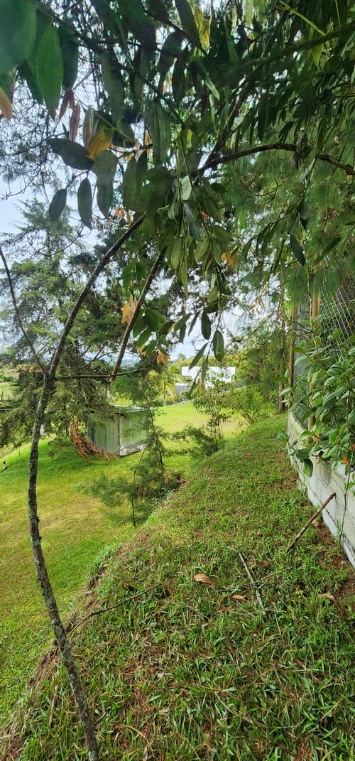 Lote en venta en Camargo, El Carmen de Viboral, 3350 m² · foto 20 de 24