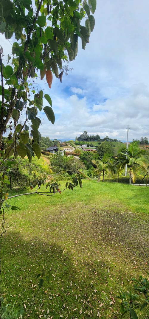 Lote en venta en Camargo, El Carmen de Viboral, 3350 m² · foto 23 de 24