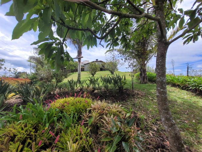 Finca en venta en El Carmen De Viboral, El Carmen de Viboral, 116 m² · foto 5 de 14