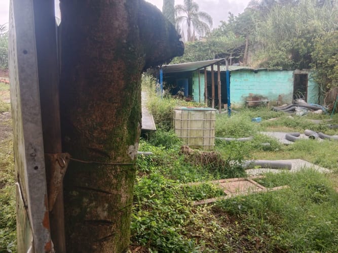 Lote en venta en Ditaires, Itagüí, 1100 m² · foto 5 de 7