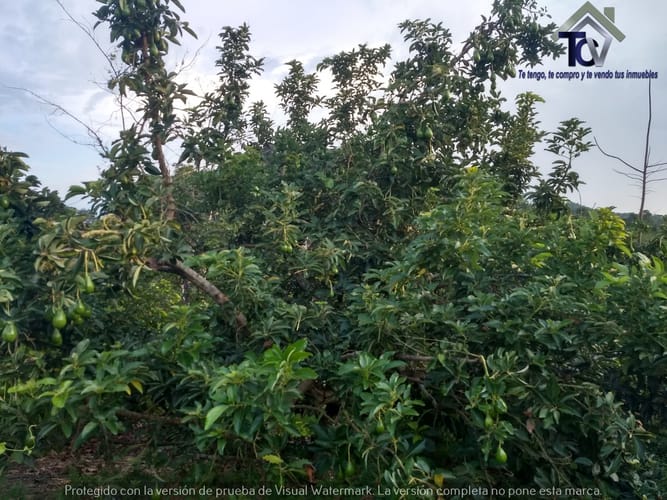 Finca en venta en Rionegro · foto 20 de 22