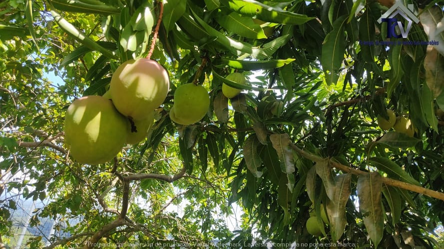 Finca en venta en Rionegro · foto 13 de 22
