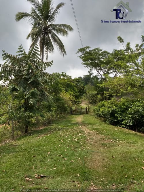 Finca en venta en Rionegro · foto 19 de 22