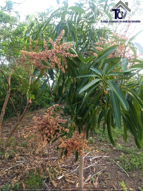 Finca en venta en Rionegro · foto 21 de 22