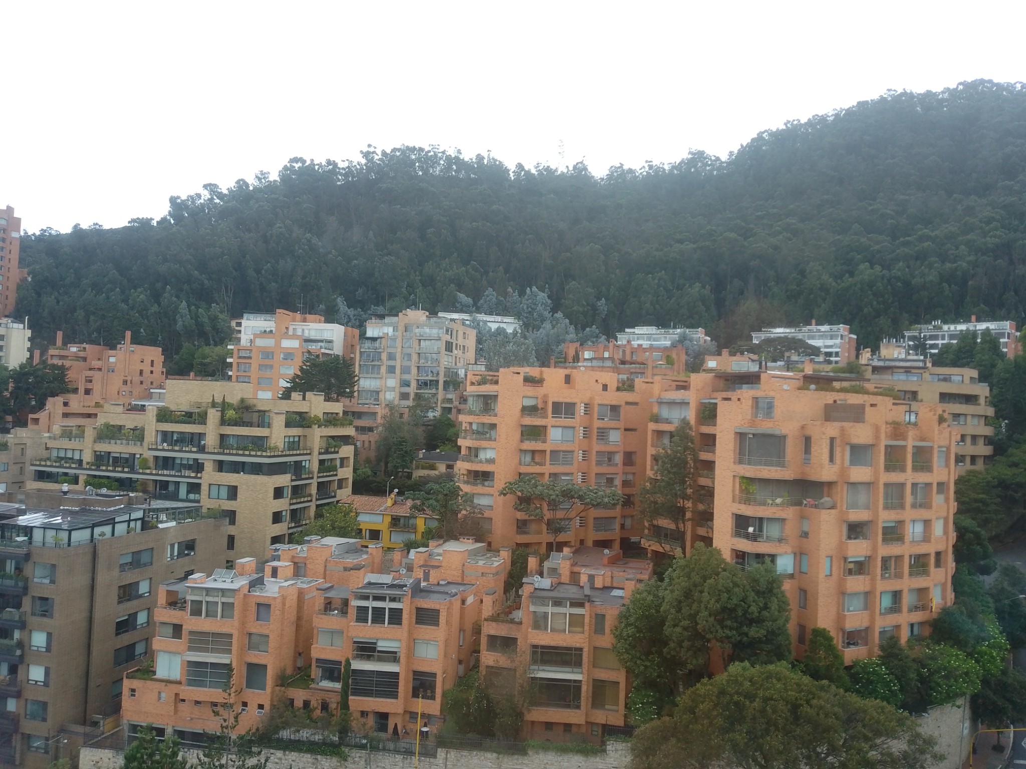 Apartamento en venta en Los Rosales, Bogotá · foto 19 de 20