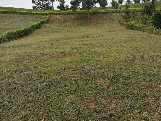 Lote en venta en Los Llanitos, Piedecuesta, 800 m² · foto 5 de 6