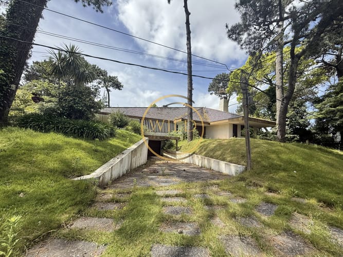 Casa en Punta del Este, Mansa