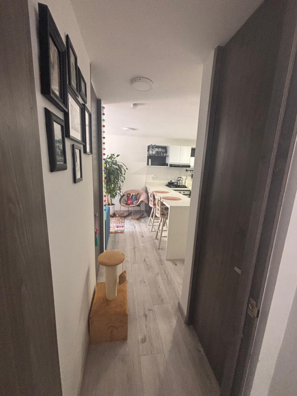 Apartamento en venta en Santa Teresa, Bogotá · foto 12 de 19