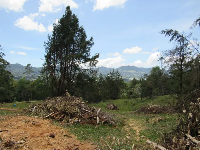 Lote en venta en Guamito, La Ceja, 18382 m² · foto 2 de 24