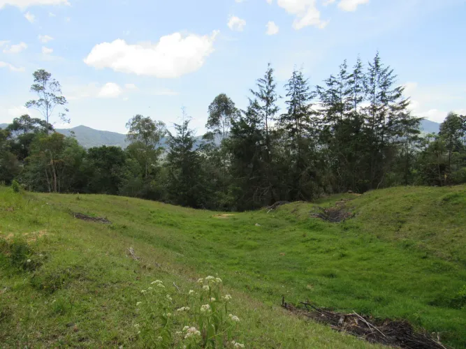 Lote en venta en Guamito, La Ceja, 18382 m² · foto 3 de 24