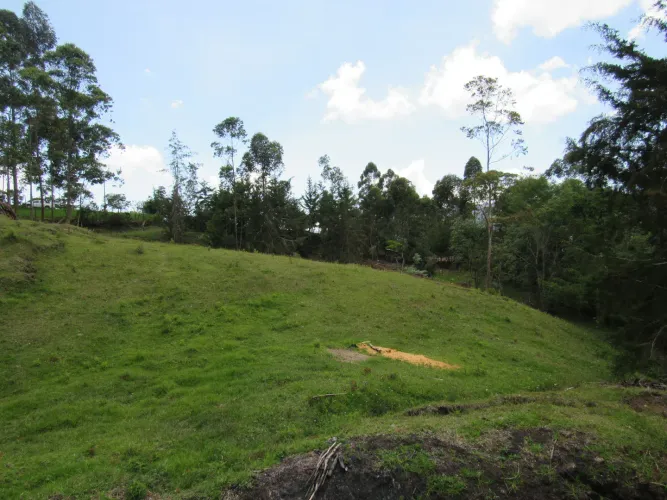 Lote en venta en Guamito, La Ceja, 18382 m² · foto 5 de 24