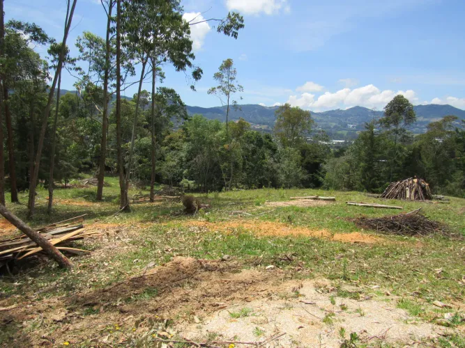 Lote en venta en Guamito, La Ceja, 18382 m² · foto 6 de 24