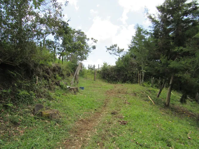 Lote en venta en Guamito, La Ceja, 18382 m² · foto 7 de 24