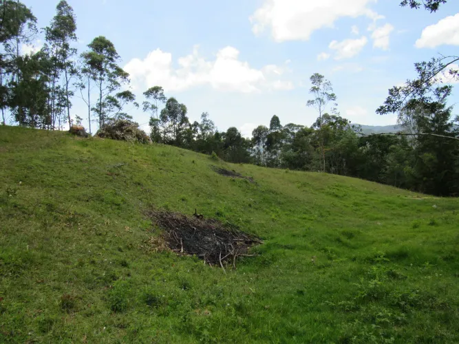 Lote en venta en Guamito, La Ceja, 18382 m² · foto 9 de 24