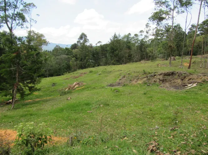 Lote en venta en Guamito, La Ceja, 18382 m² · foto 10 de 24