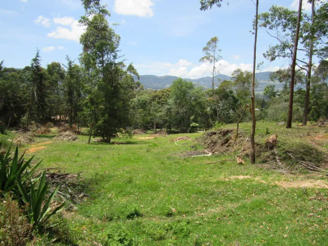 Lote en venta en Guamito, La Ceja, 18382 m² · foto 11 de 24