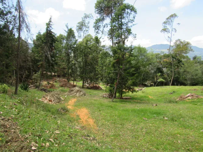Lote en venta en Guamito, La Ceja, 18382 m² · foto 12 de 24