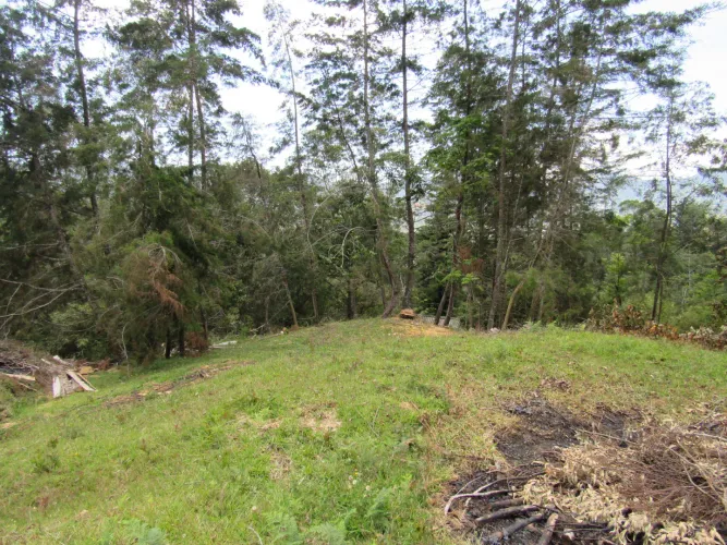 Lote en venta en Guamito, La Ceja, 18382 m² · foto 13 de 24