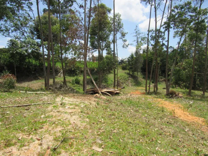 Lote en venta en Guamito, La Ceja, 18382 m² · foto 14 de 24