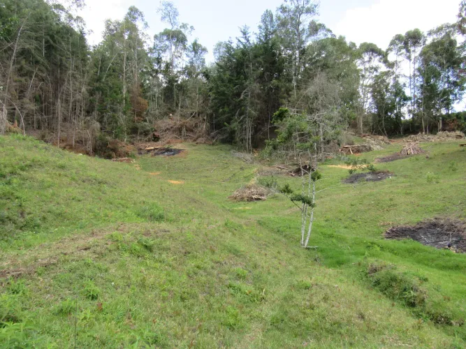 Lote en venta en Guamito, La Ceja, 18382 m² · foto 15 de 24