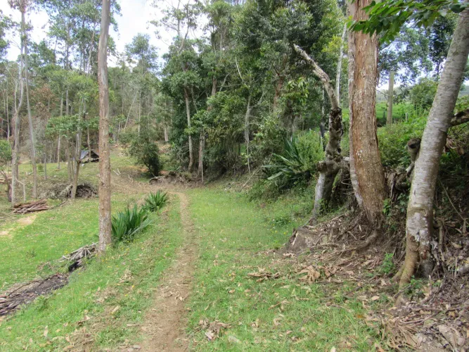 Lote en venta en Guamito, La Ceja, 18382 m² · foto 17 de 24