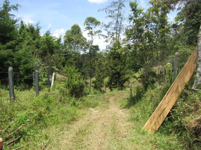 Lote en venta en Guamito, La Ceja, 18382 m² · foto 18 de 24