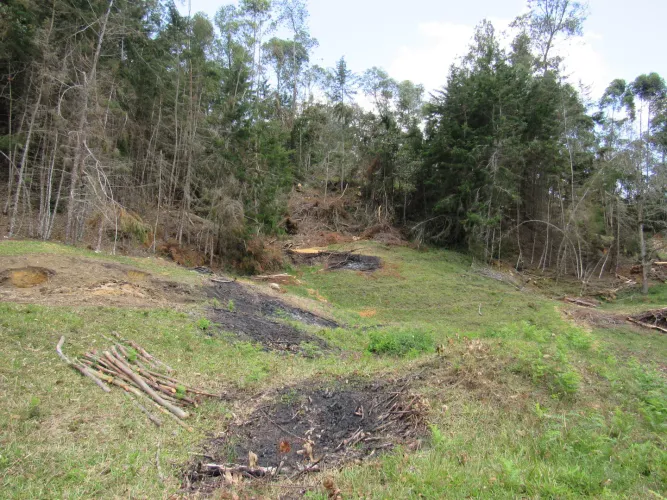 Lote en venta en Guamito, La Ceja, 18382 m² · foto 20 de 24